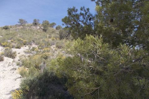 Cave house i Abanilla, Murcia, Abanilla - € 49.000 | Ref: SF0070 - foto 14